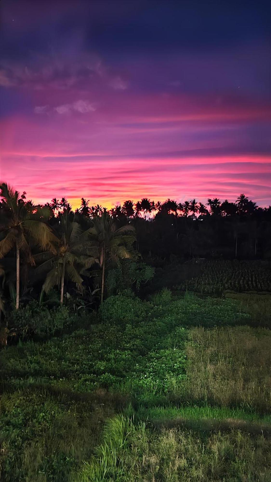 Wadari Retreat Villa Ubud Zewnętrze zdjęcie